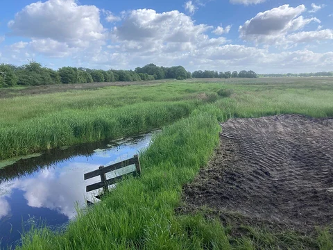 Jipsinghuizen to Laude via Westerwoldepad