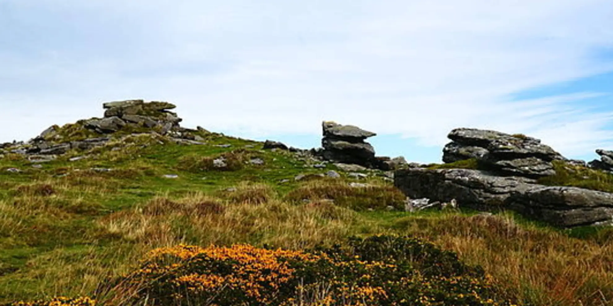 An image depicting the trail Corndon Tor and Yar Tor Circular and its surrounding area.