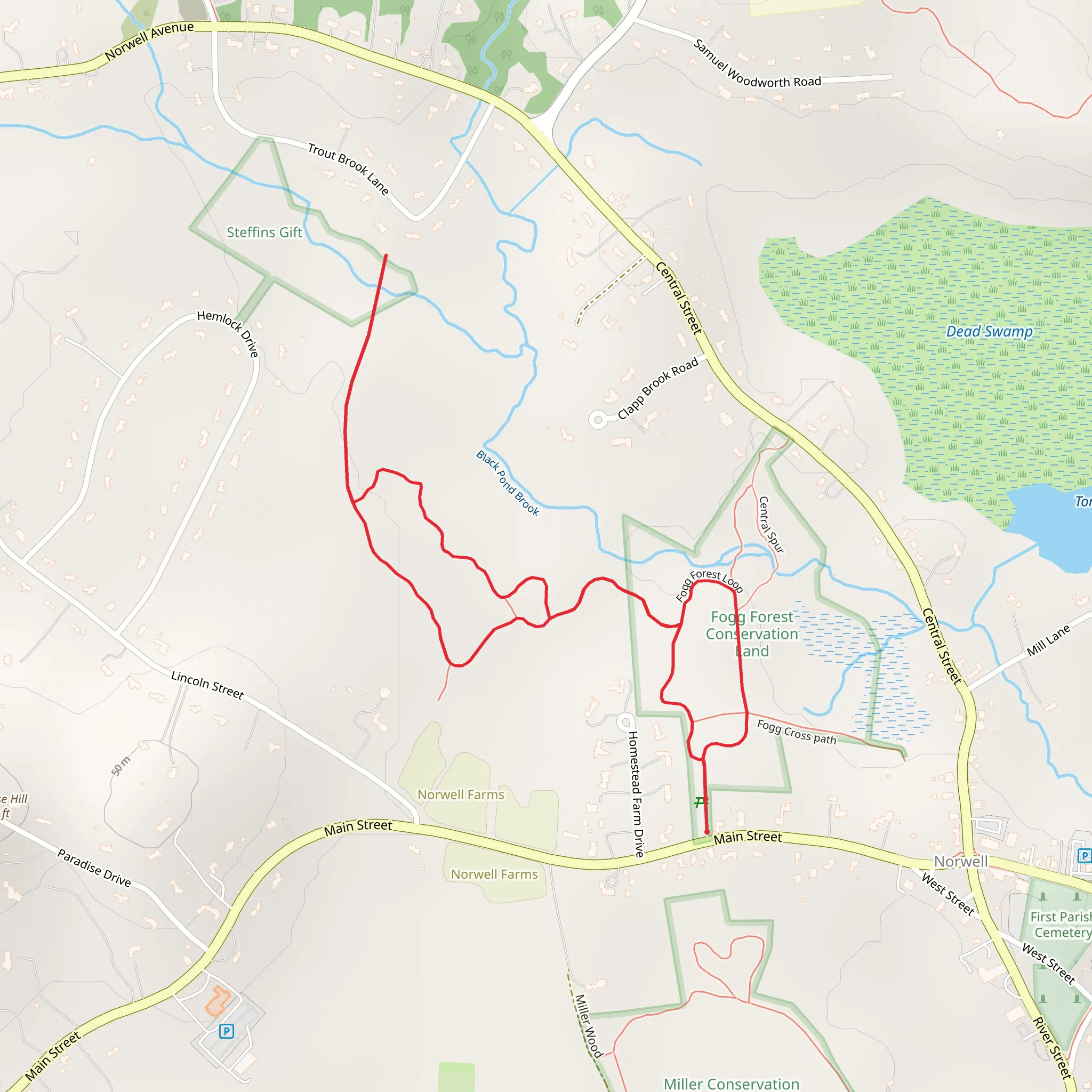Black Pond Brook via Fogg Forest Loop mobile static map