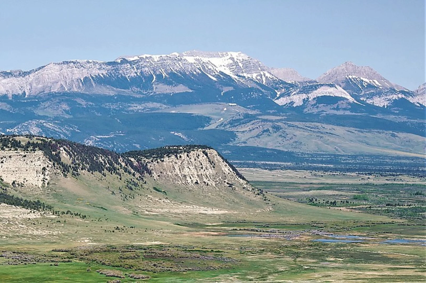 An image depicting the trail Jones Creek Trail and its surrounding area.