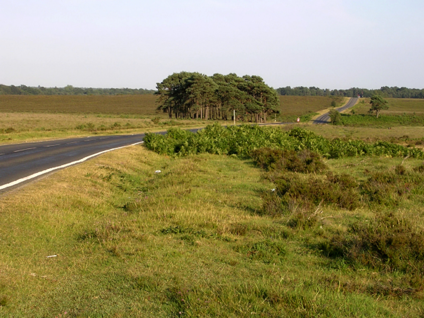 An image depicting the trail Denny Lodge from Beaulieu Road and its surrounding area.
