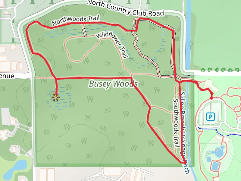 Busey Woods Nature Trail