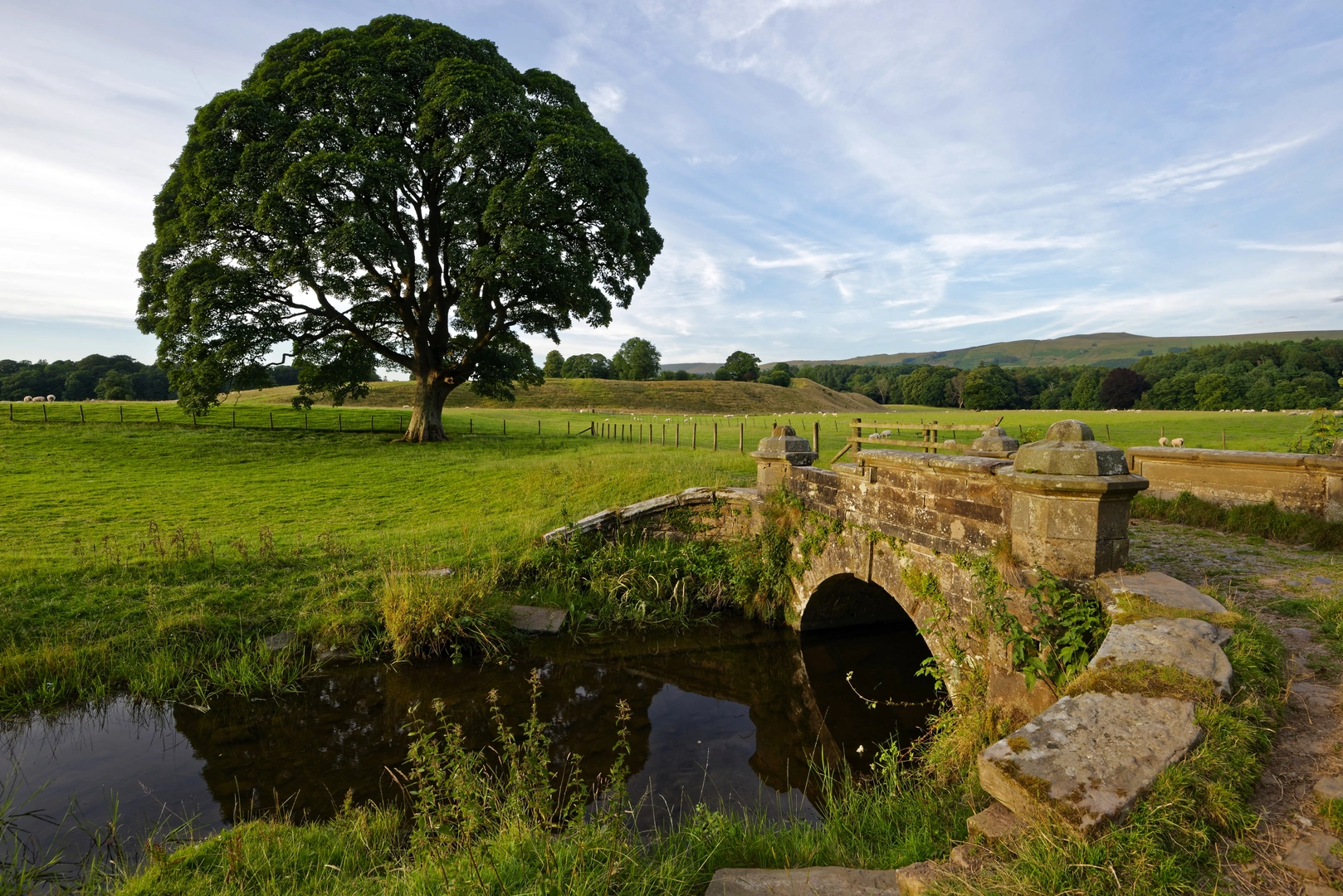 An image depicting the trail Limestone Link from Arnside to Kirkby Lonsdale and its surrounding area.