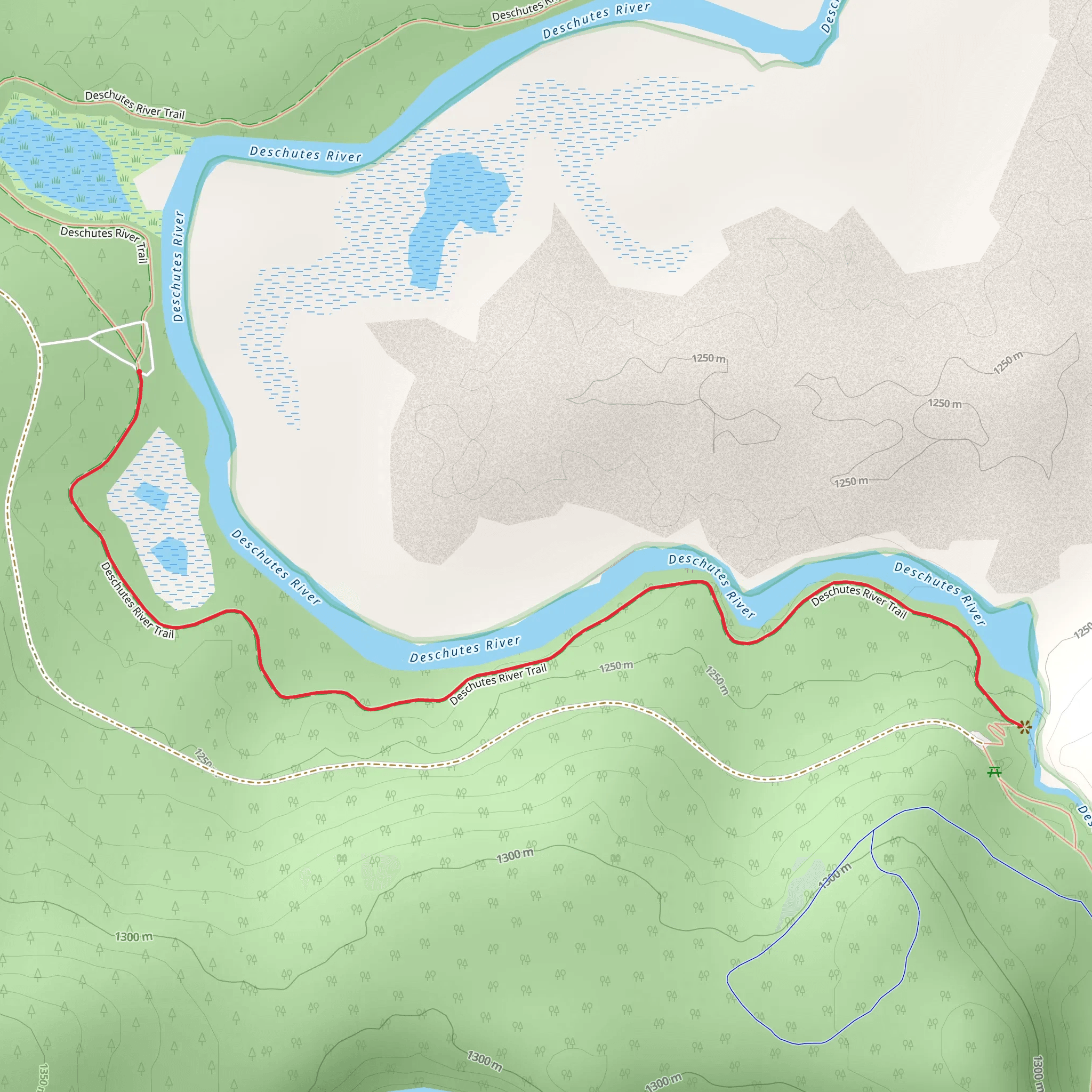 Deschutes River via Deschutes River Trail Out and Back mobile static map