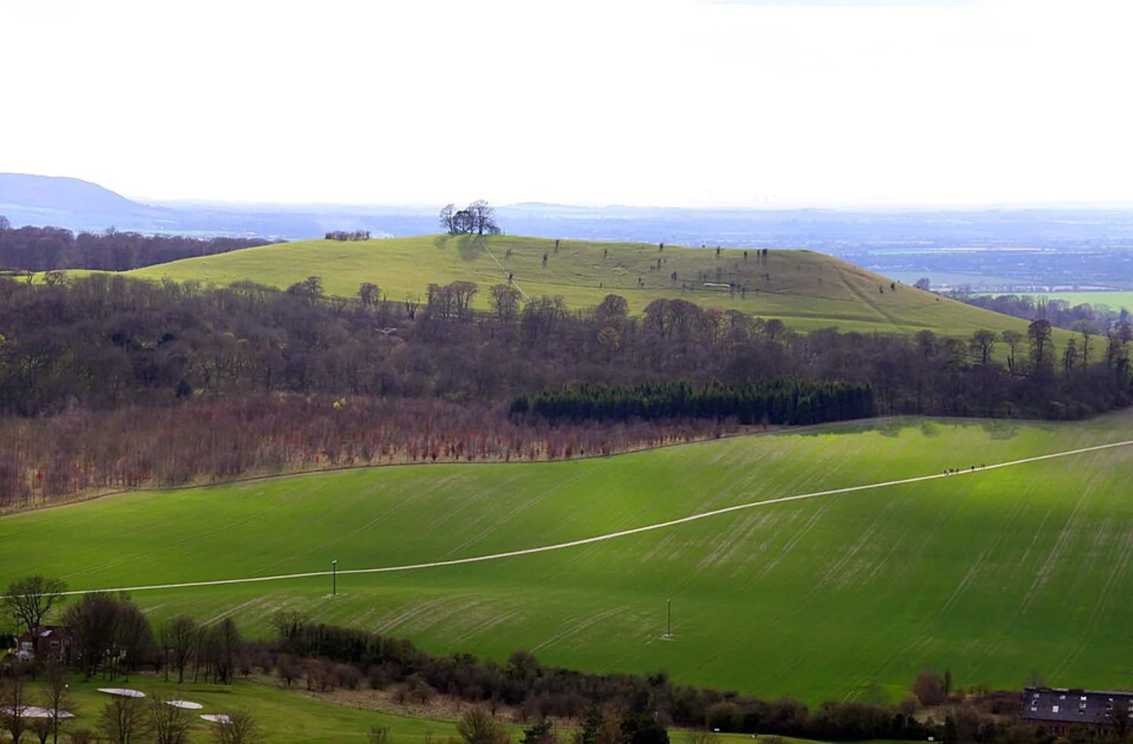 An image depicting the trail Coombe Hill, Whorley Wood and Linton wood Loop and its surrounding area.