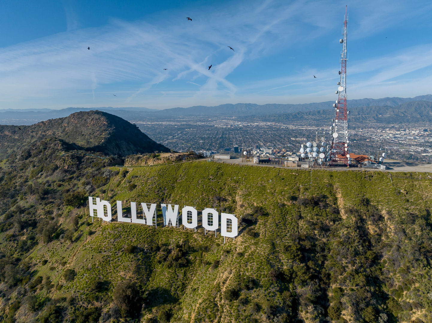 An image depicting the trail Bee Rock and Mount Lee via Bee Rock Trail and Mt Chapel Trail and its surrounding area.