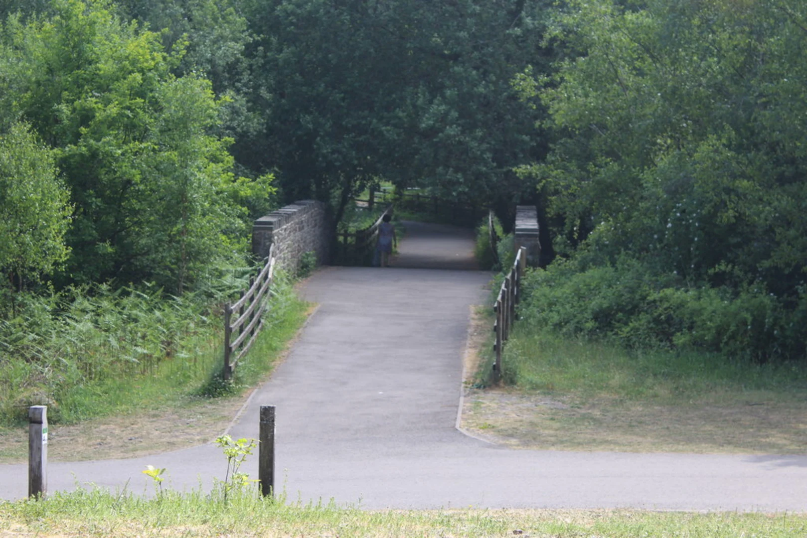 An image depicting the trail Parc Penallta Loop and its surrounding area.