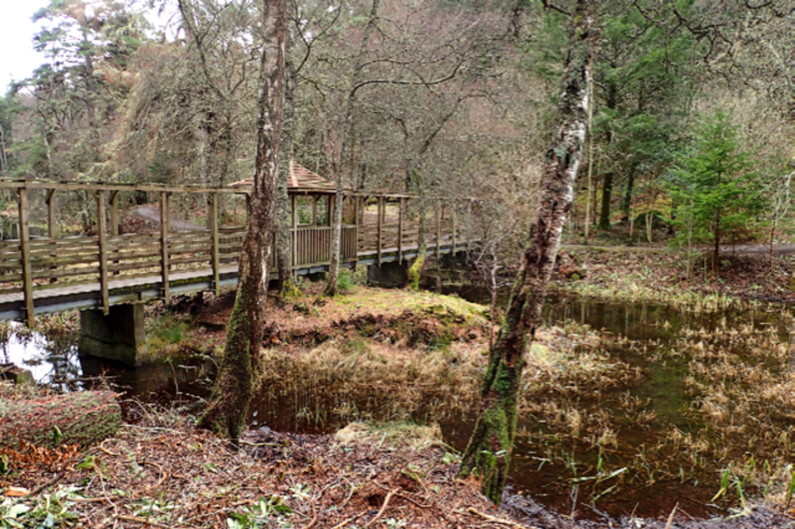 An image depicting the trail Loch Dunmore Loop and its surrounding area.