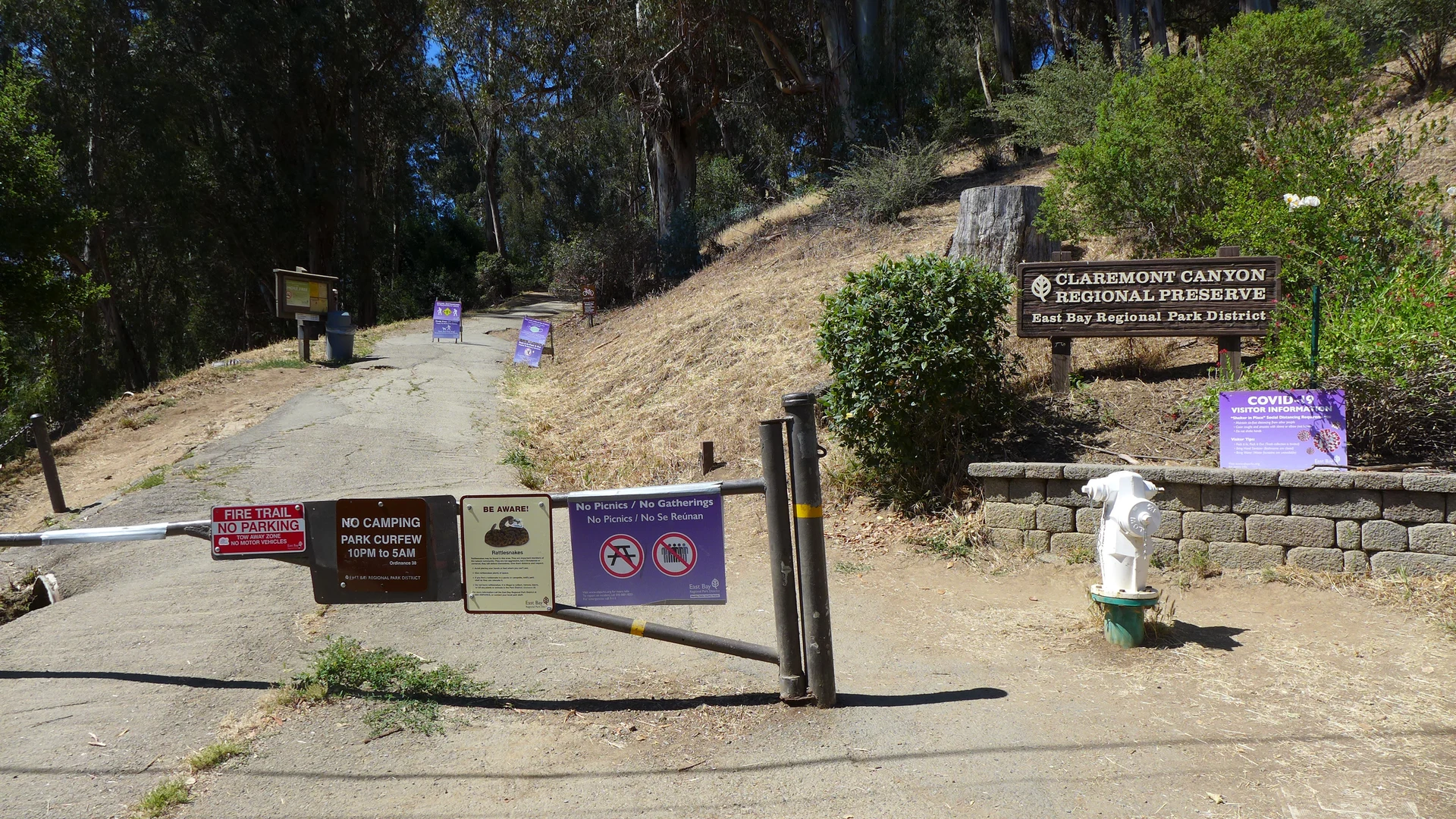 An image depicting the trail Side Hill Trail and East West Trail and its surrounding area.