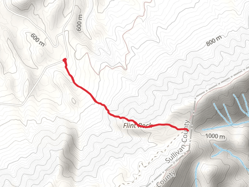 Flint Mill Trail