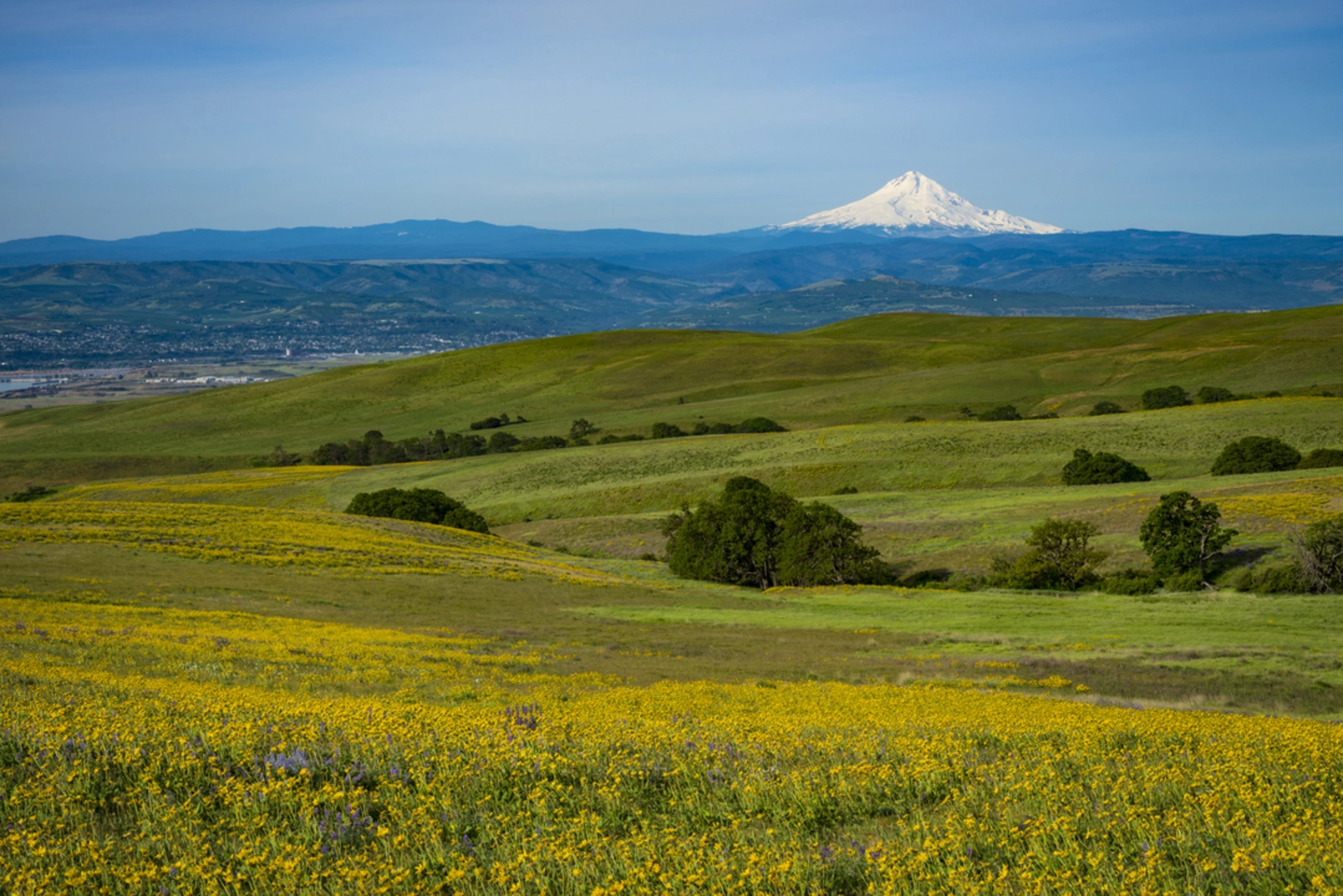 An image depicting the trail Big Huckleberry Trail and its surrounding area.