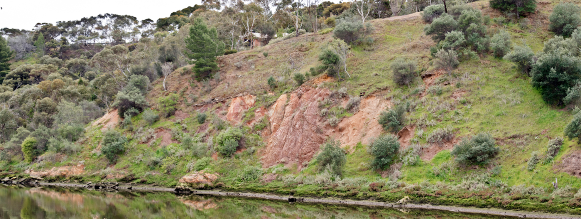 An image depicting the trail Old Noarlunga Track and its surrounding area.