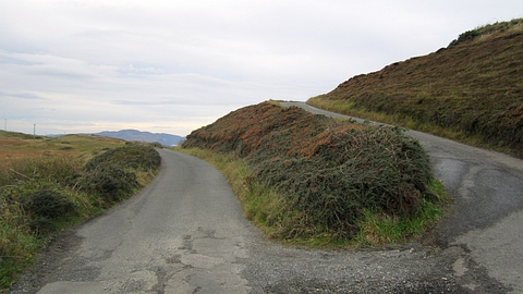 Derrycassan - Main Avenue Walk