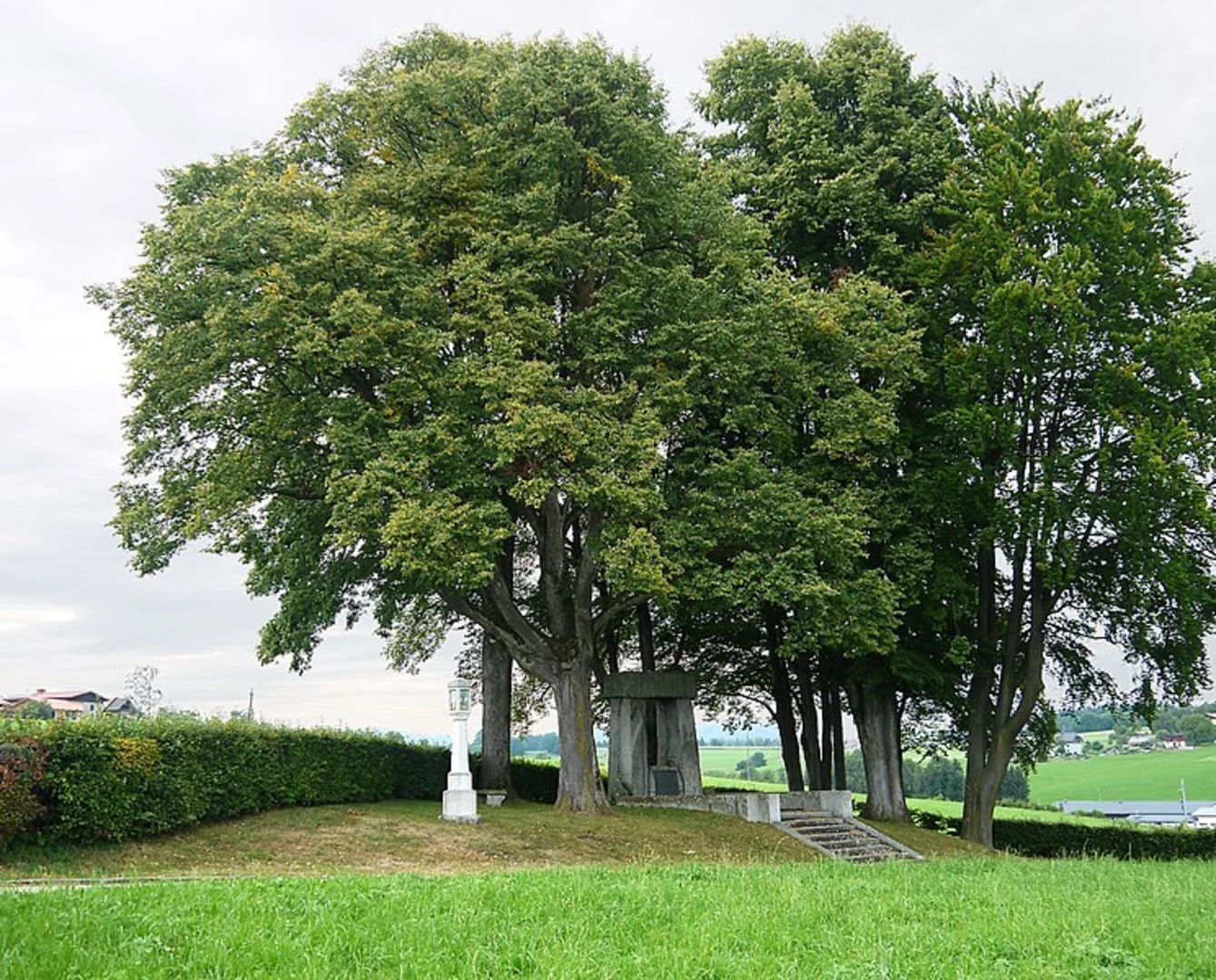 An image depicting the trail Vöcklamarkt – Haushamerfeld – Pfaffing – Kalvarienberg Loop 3 and its surrounding area.
