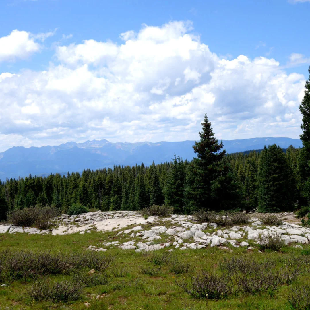 An image depicting the trail Missionary Ridge Trail and its surrounding area.