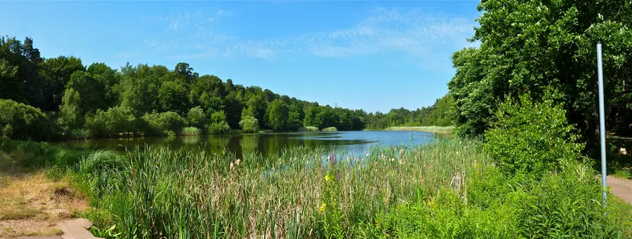Vogelwoog via Waldlaufparcours Kaiserslautern Gelb