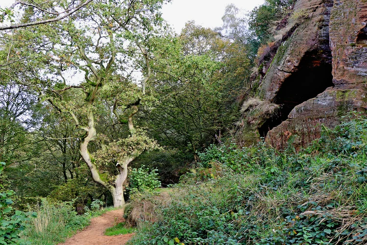 Kinver Edge and Kingsford Forest Park Loop