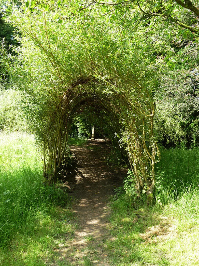 An image depicting the trail Jodrell Bank Arboretum Loop and its surrounding area.