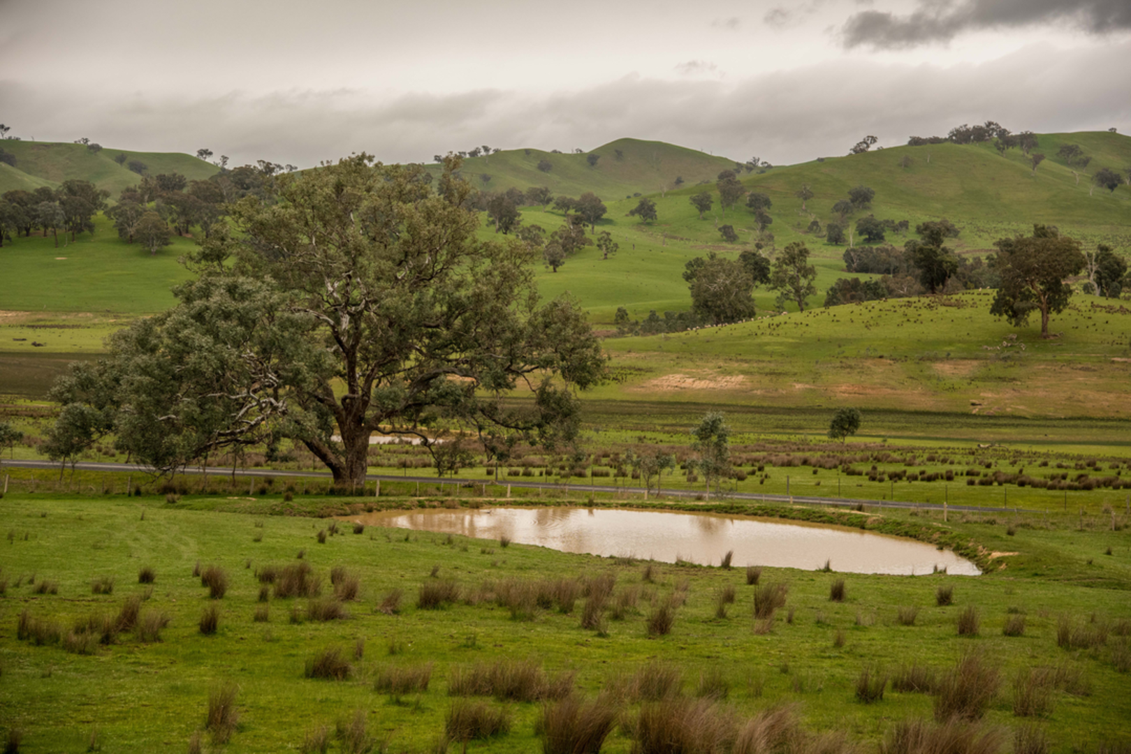 An image depicting the trail Great Victorian Rail Trail and its surrounding area.