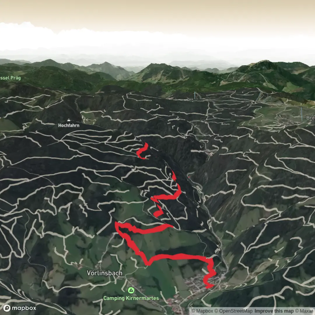 An image depicting the trail Felsenweg Oberried and its surrounding area.