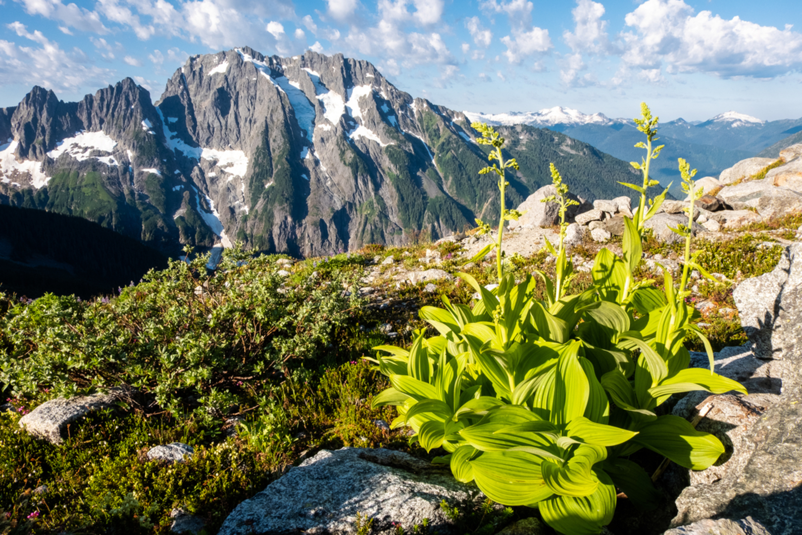 An image depicting the trail Middle Fork Cascade Trail and its surrounding area.