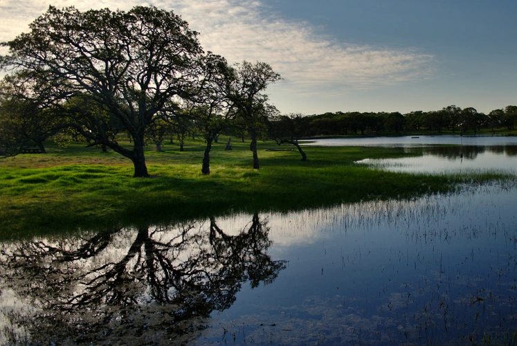 Quarry, Lower Mystic and Mason Pond Loop