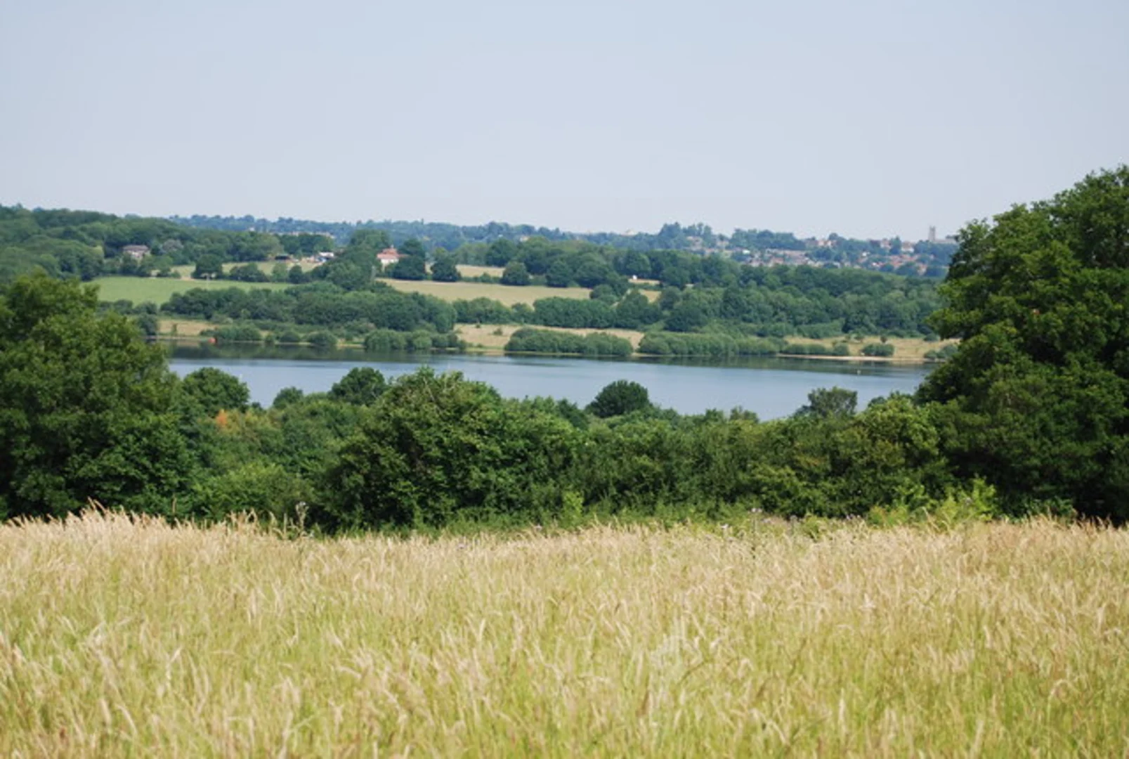 An image depicting the trail Weir Wood Reservoir and Luxford's Wood via Sussex Border Path and its surrounding area.