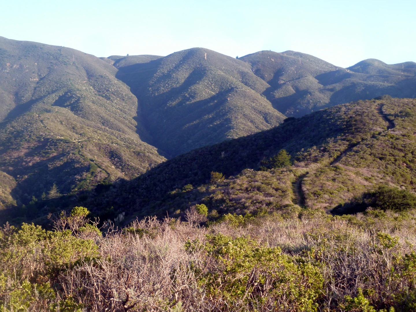 Ember Ridge and Spine Trail | San Mateo County | California