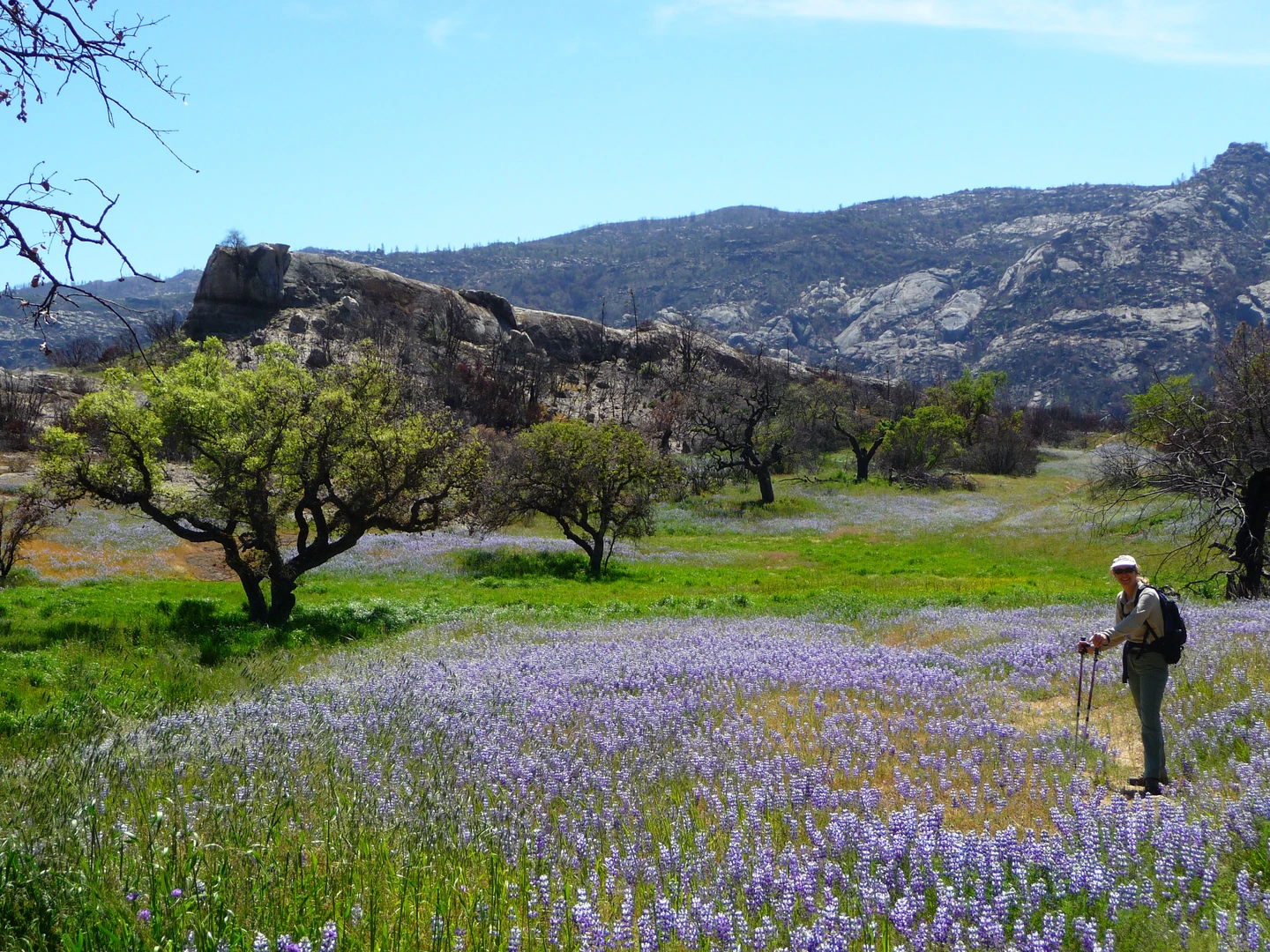 An image depicting the trail Little Falls Trail from Upper Lopez Canyon Road and its surrounding area.