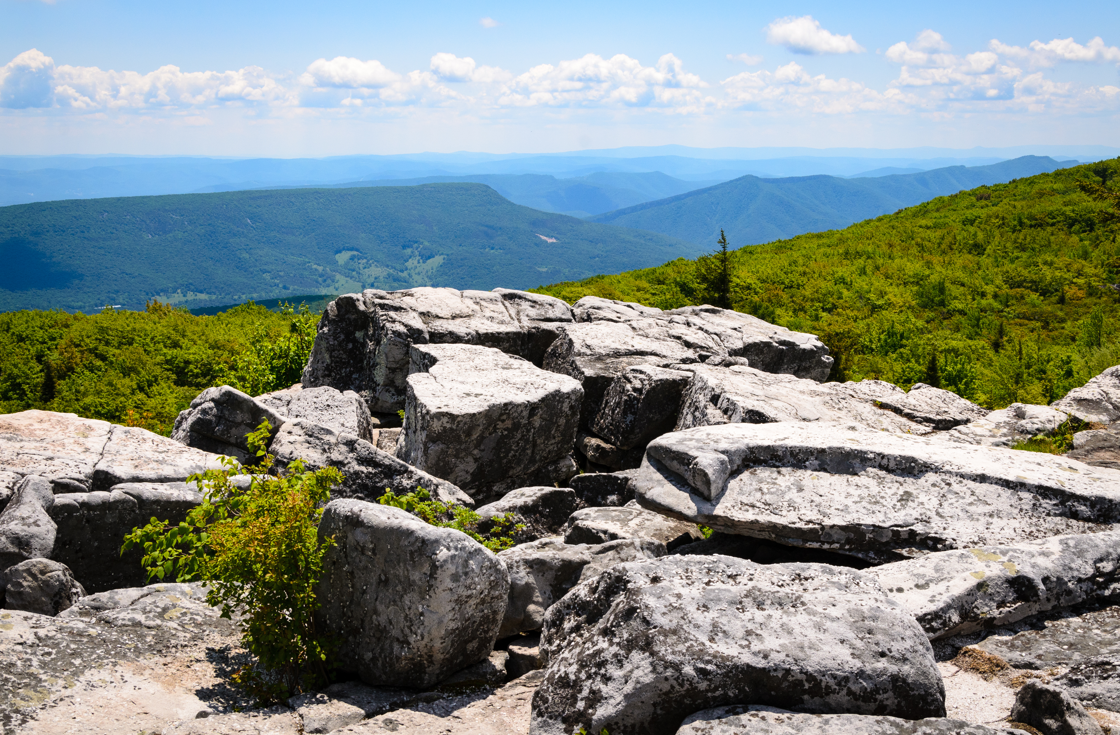 An image depicting the trail George Washington and Jefferson National Forest and its surrounding area.