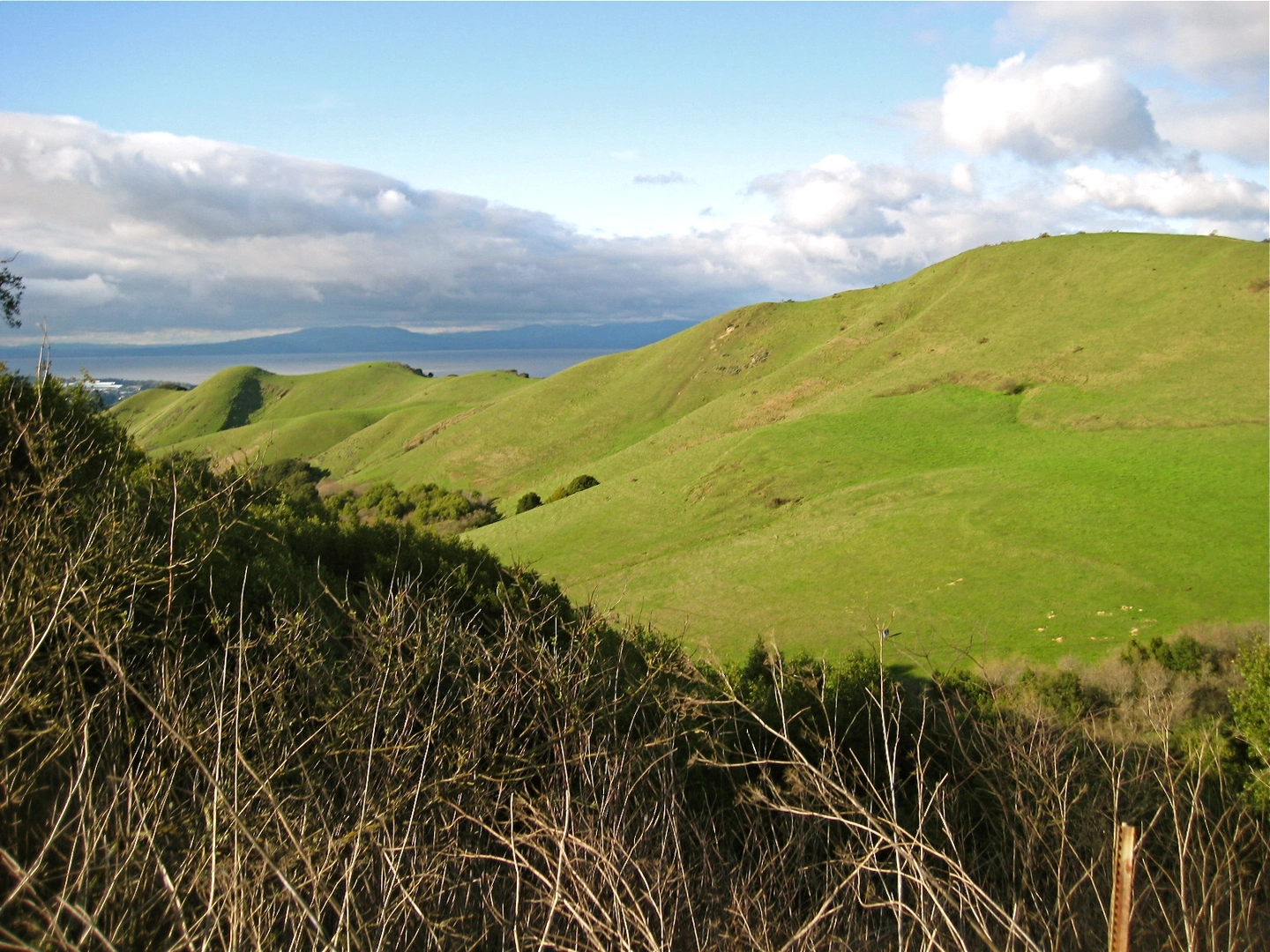 An image depicting the trail Wildcat Creek and San Pablo Ridge Loop Trail and its surrounding area.