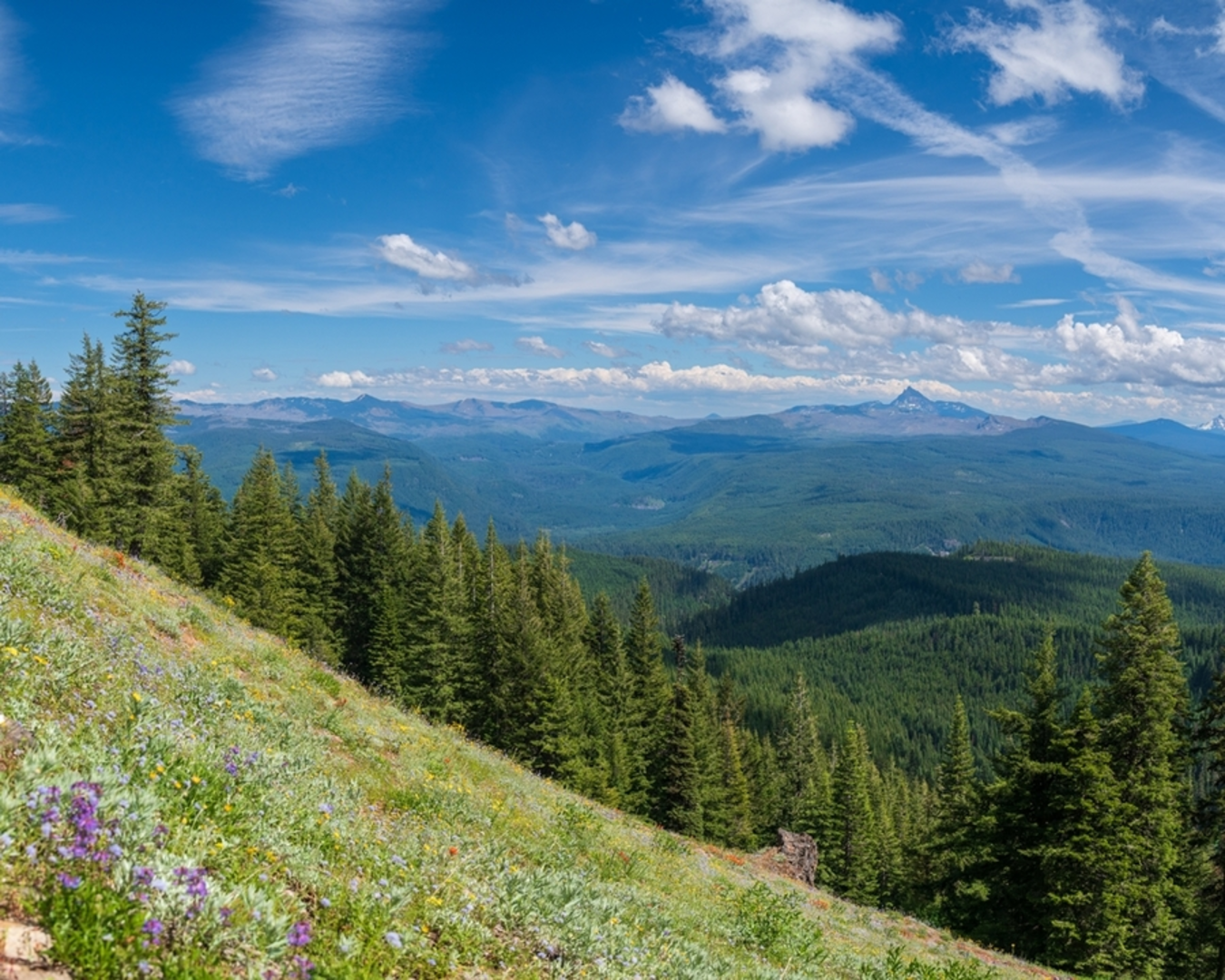 An image depicting the trail Bugaboo Ridge Trail and its surrounding area.