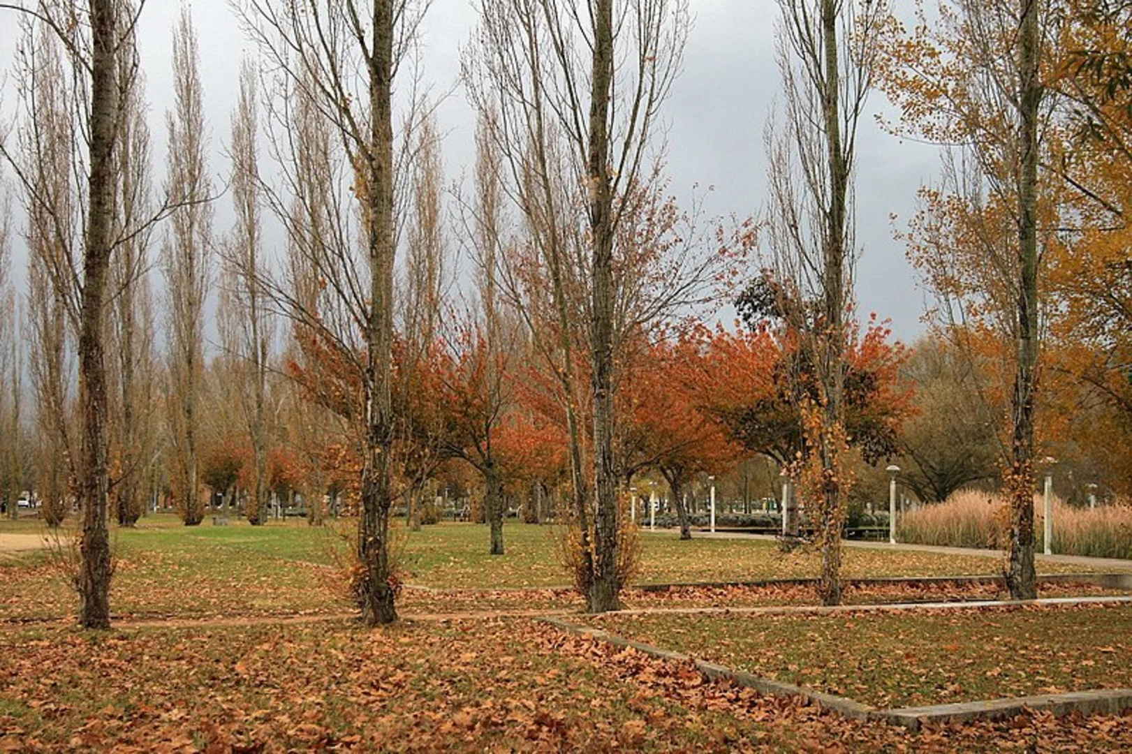 An image depicting the trail GR 1 Sender Historic and its surrounding area.