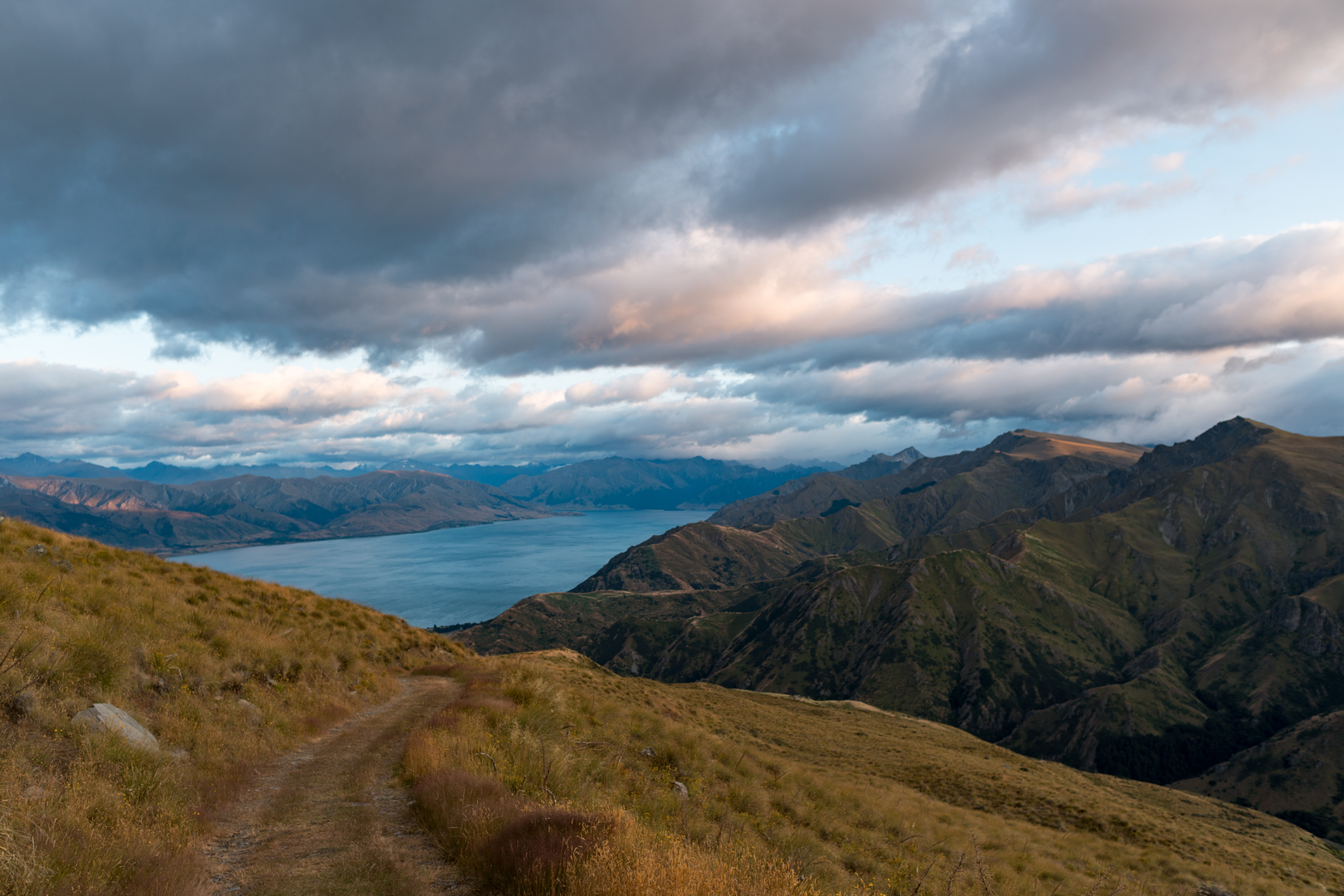 An image depicting the trail Grandview Mountain Track and its surrounding area.