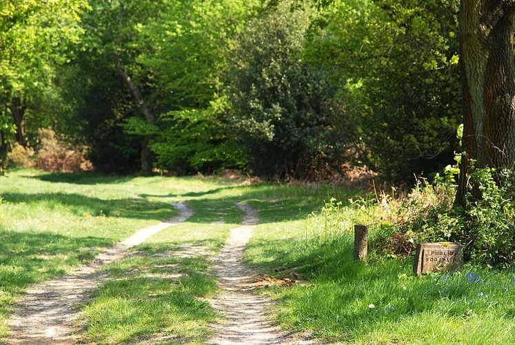 Deer Park, York Gate Plantation and Chevin Forest Park Loop