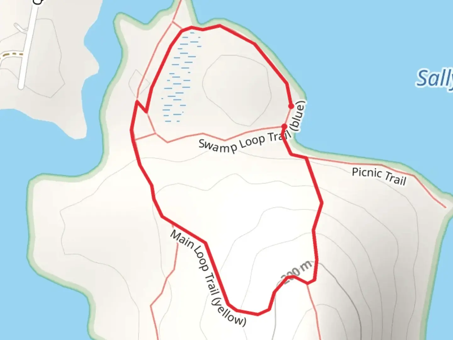 An image depicting the trail Stonedam Island HP - Main Loop Trail - Yellow and its surrounding area.
