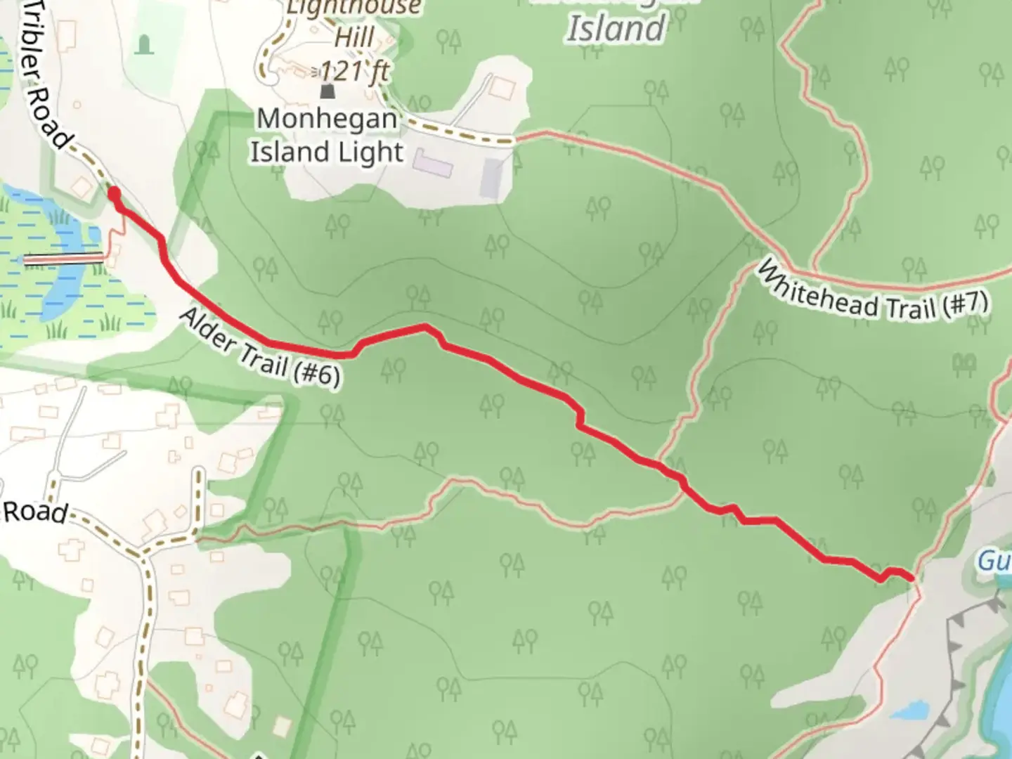 An image depicting the trail Alder Trail and its surrounding area.