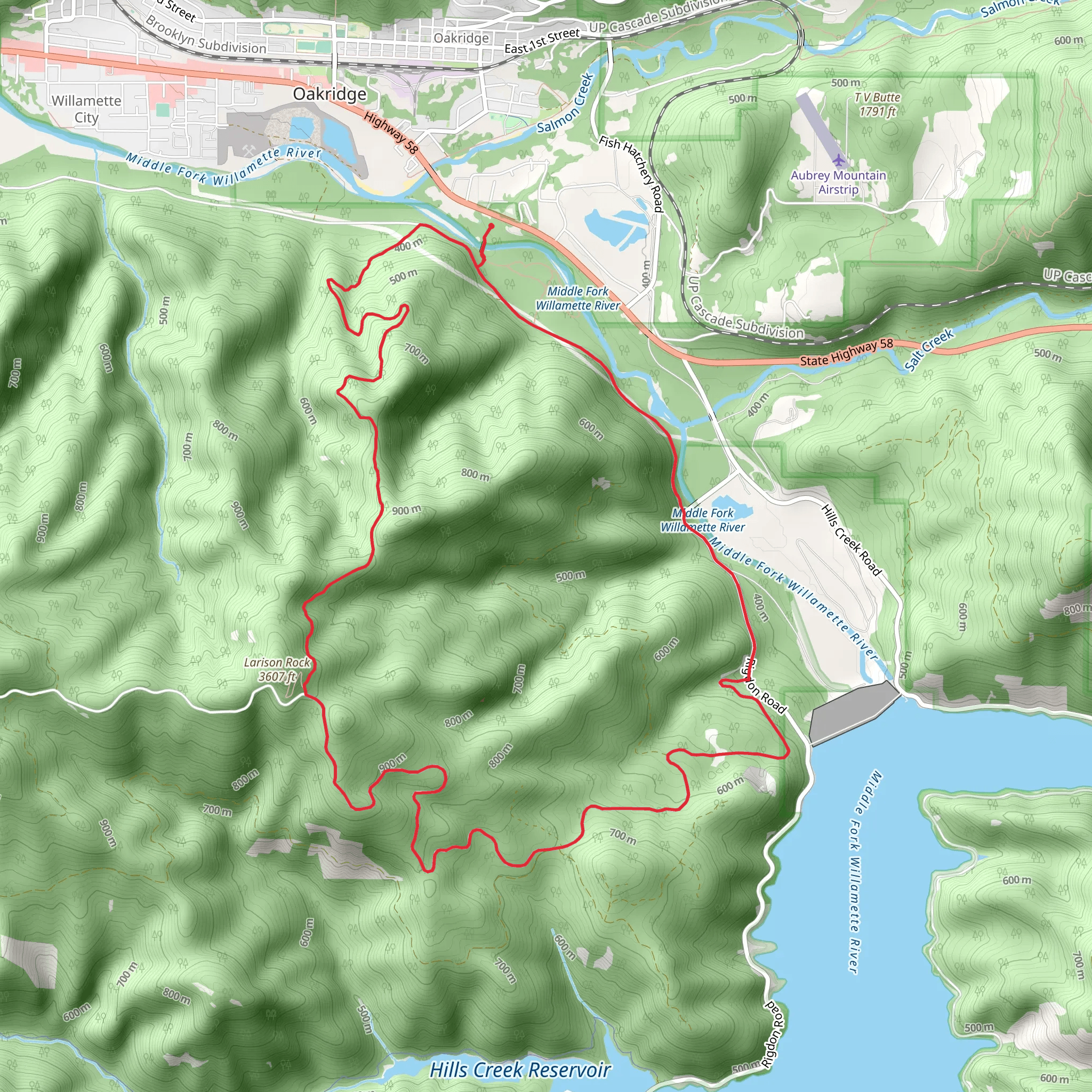 Larison Rock Loop Trail mobile static map