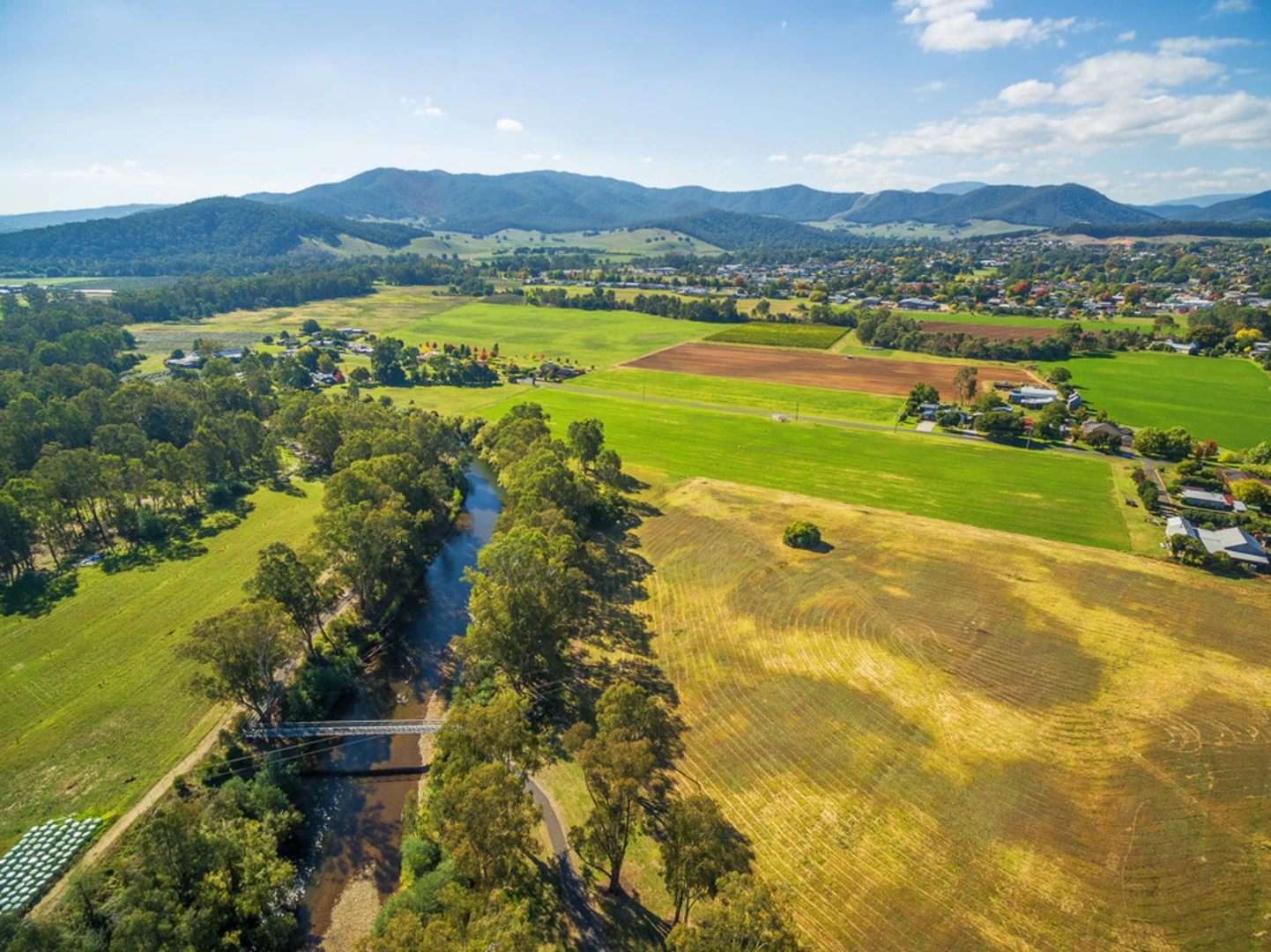 An image depicting the trail Myrtleford Mosaic Trail and its surrounding area.