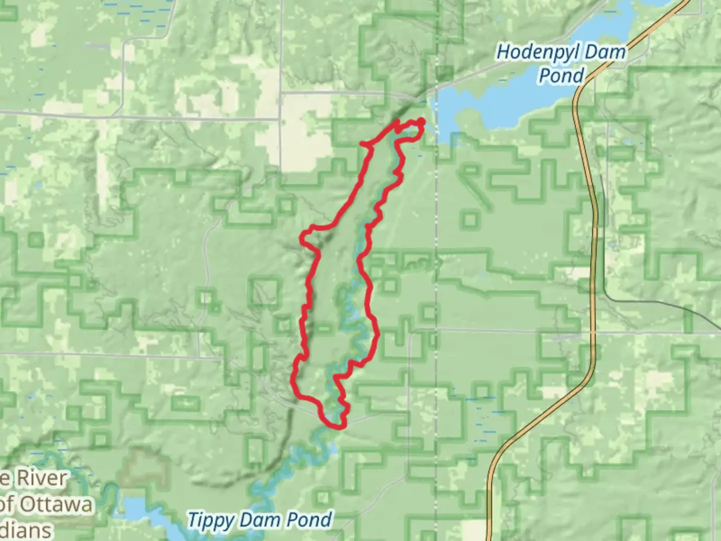 An image depicting the trail Manistee River Loop and its surrounding area.