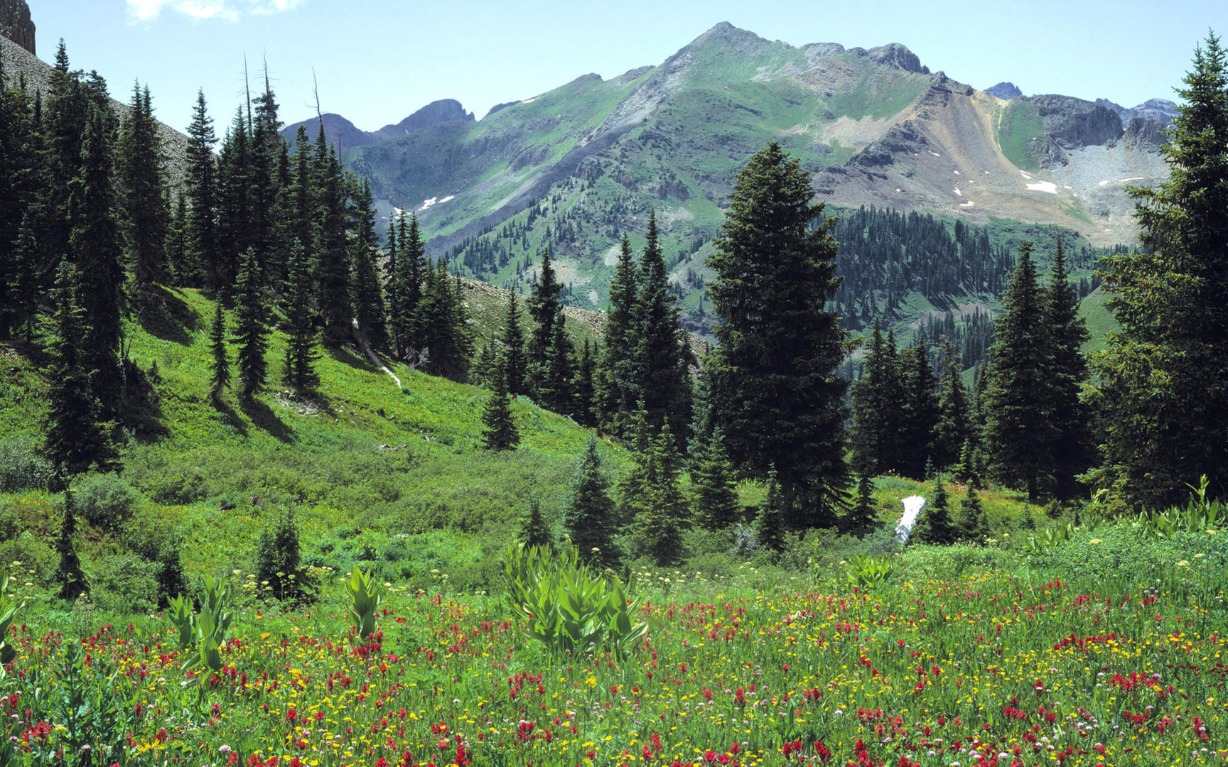 An image depicting the trail Pass Creek - Grassy Top Trail and its surrounding area.
