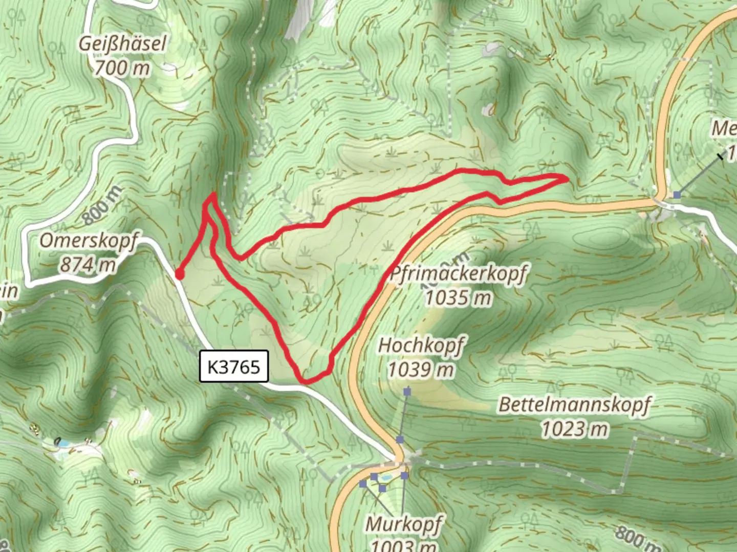 An image depicting the trail Wiedelager and Schwarzwaldhochstr Loop and its surrounding area.
