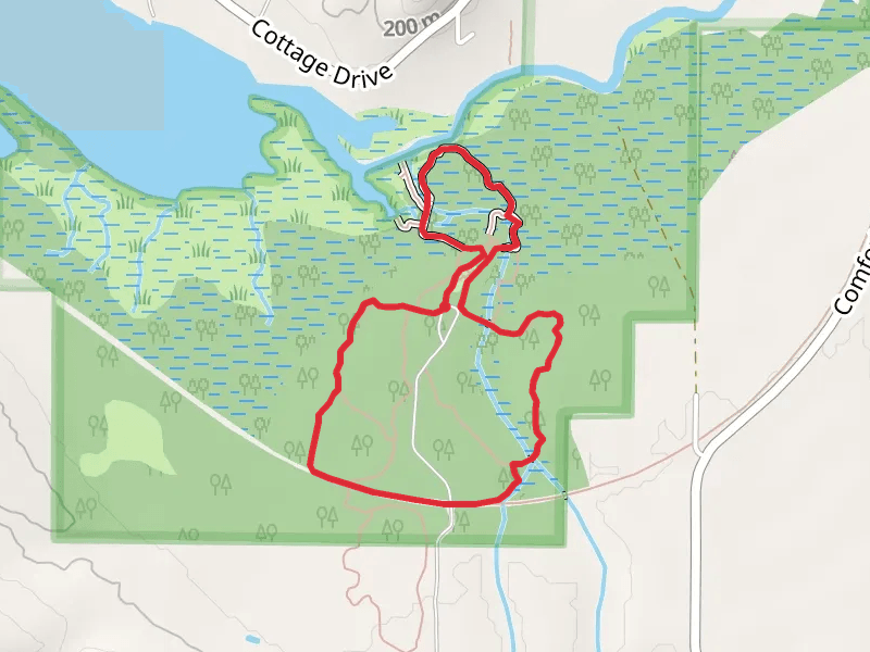Finch Creek - Rail Trail