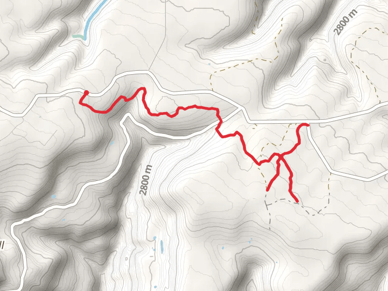 Hornet Trail