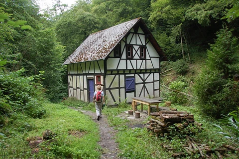 Barreterlei and Frankweiler Bach via Traumschleife Baybachklamm and Baybachtal-Weg