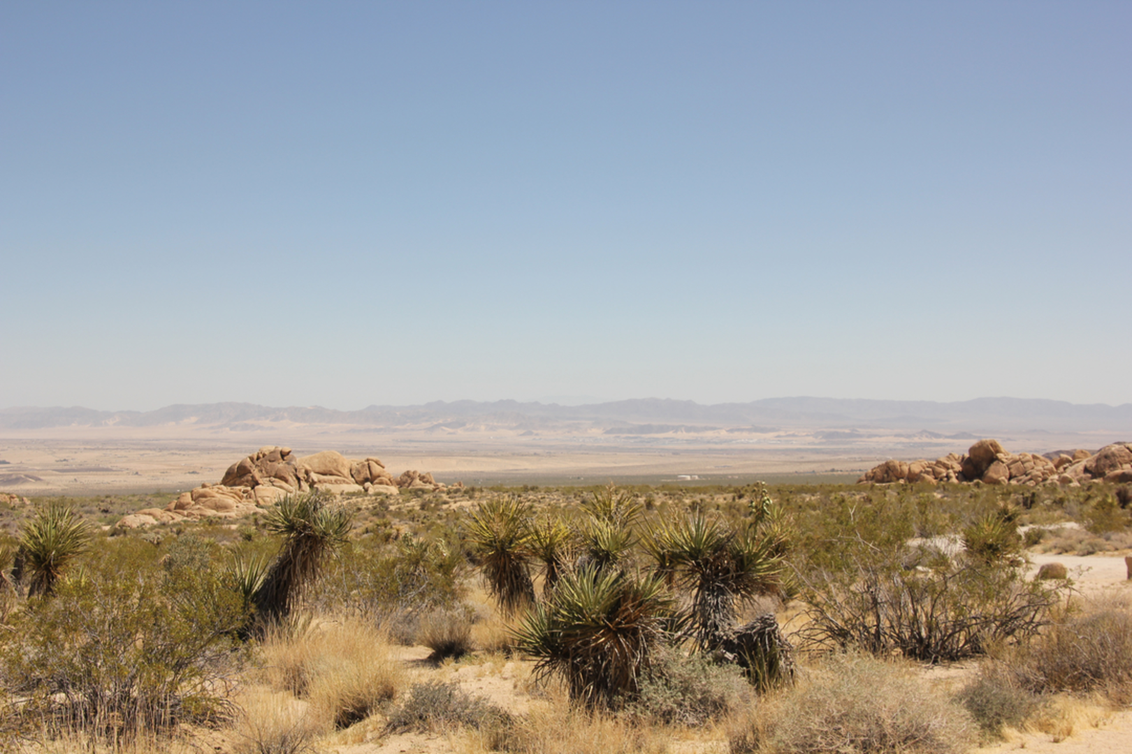 An image depicting the trail Indian Cove Nature Trail and its surrounding area.