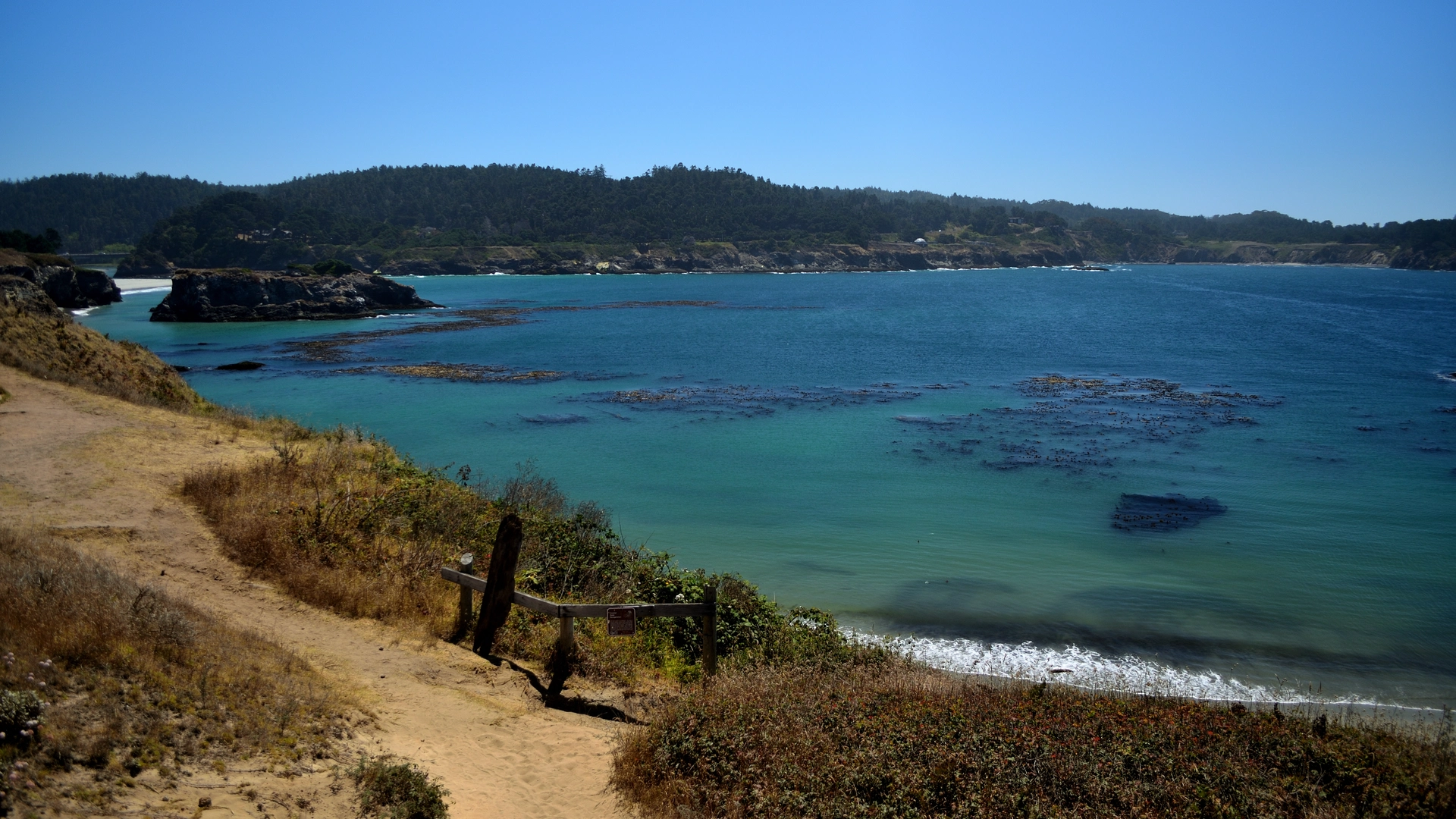 An image depicting the trail Mendocino Bay Overlook and its surrounding area.