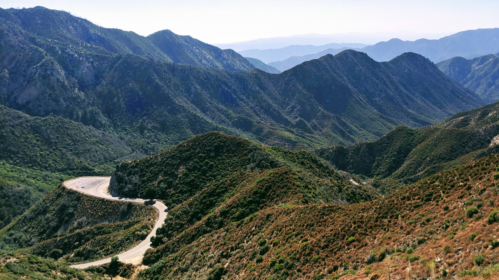An image depicting the trail Hoyt Mountain via Grizzly Flats Trail and its surrounding area.