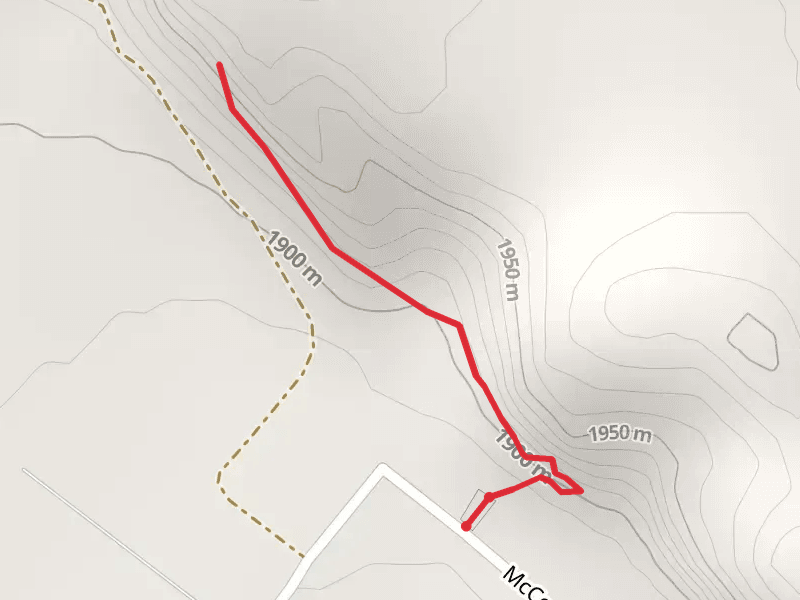 Main Track to Petroglyphs
