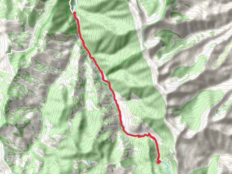 Jarbidge River Trail - Short